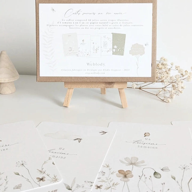 Coffret de 16 cartes étapes à utiliser dès la naissance de bébé - Weblody