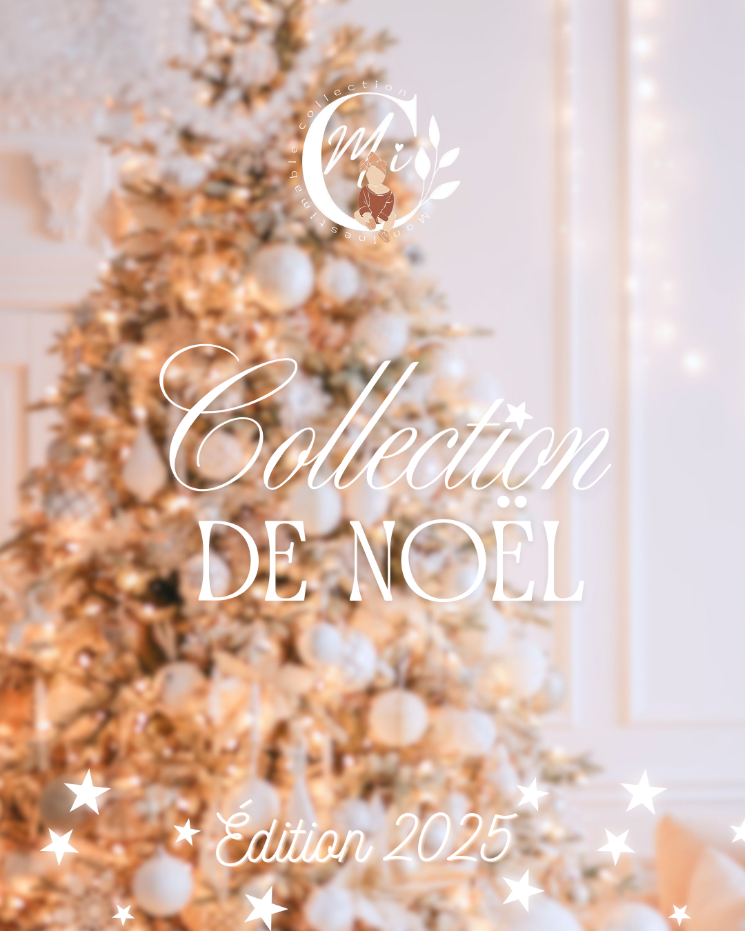 Collection de Noël 2025