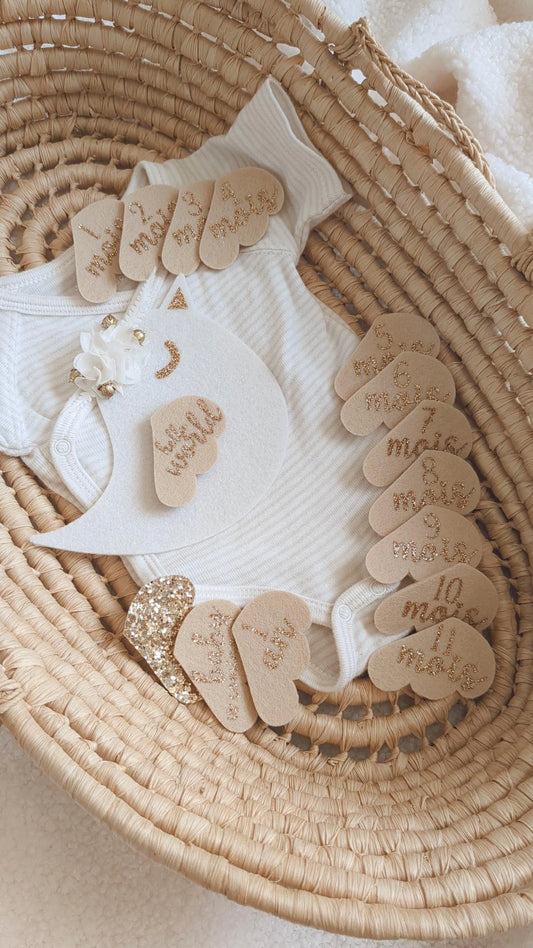 Cartes étapes bébé oiseau en feutrine fleurie